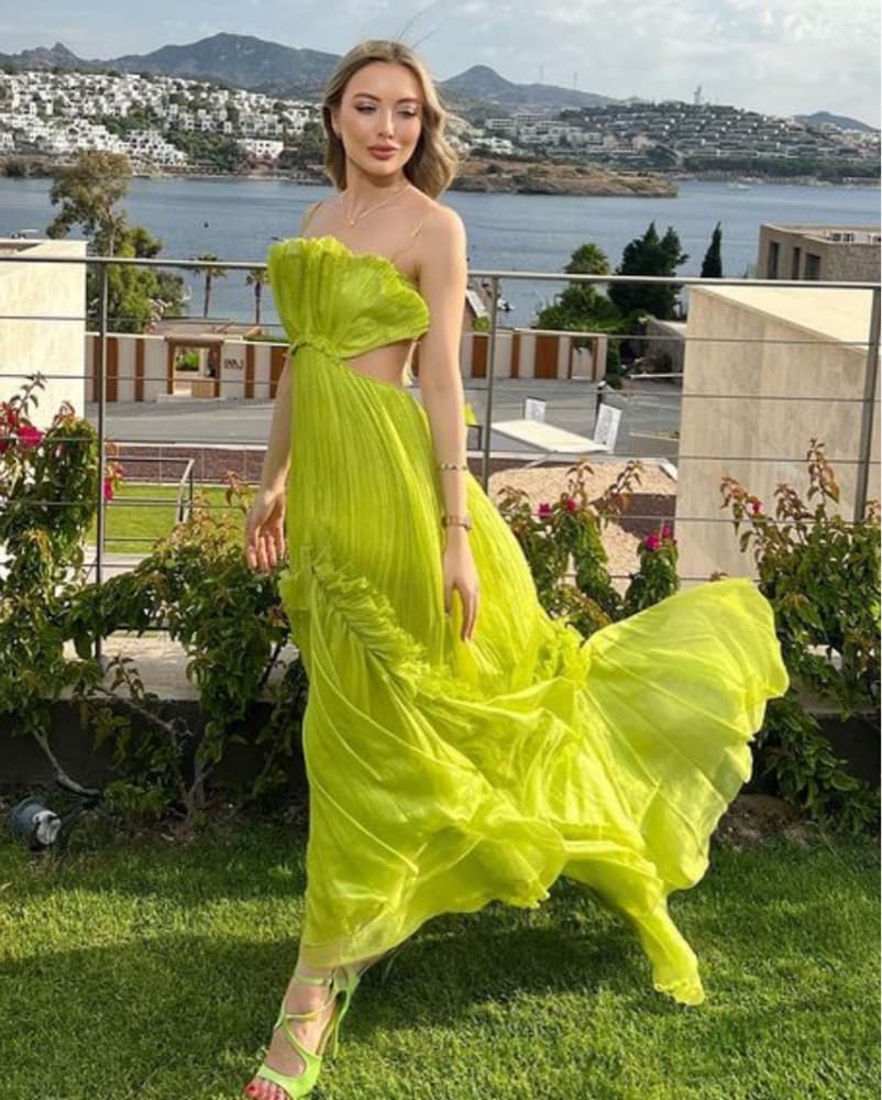 Maria Lucia Hohan Dress - Image 3