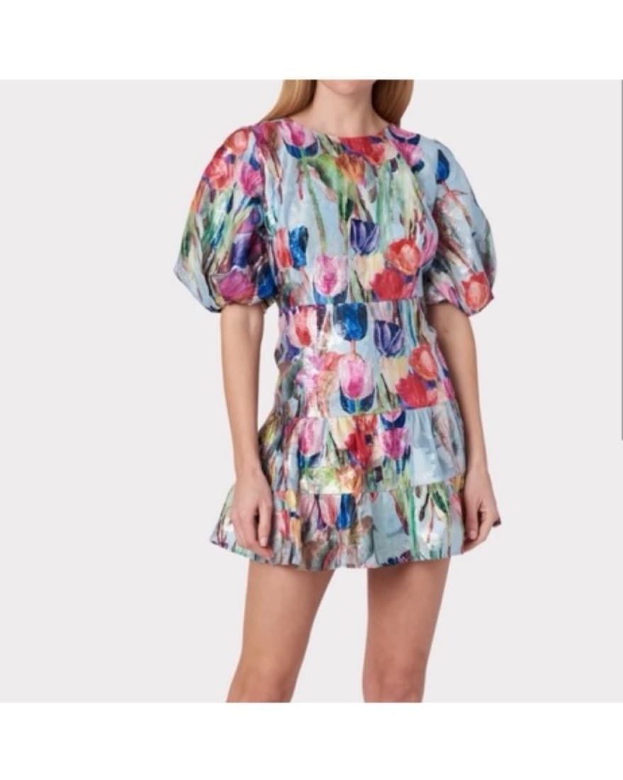 Milly Dress - Image 1