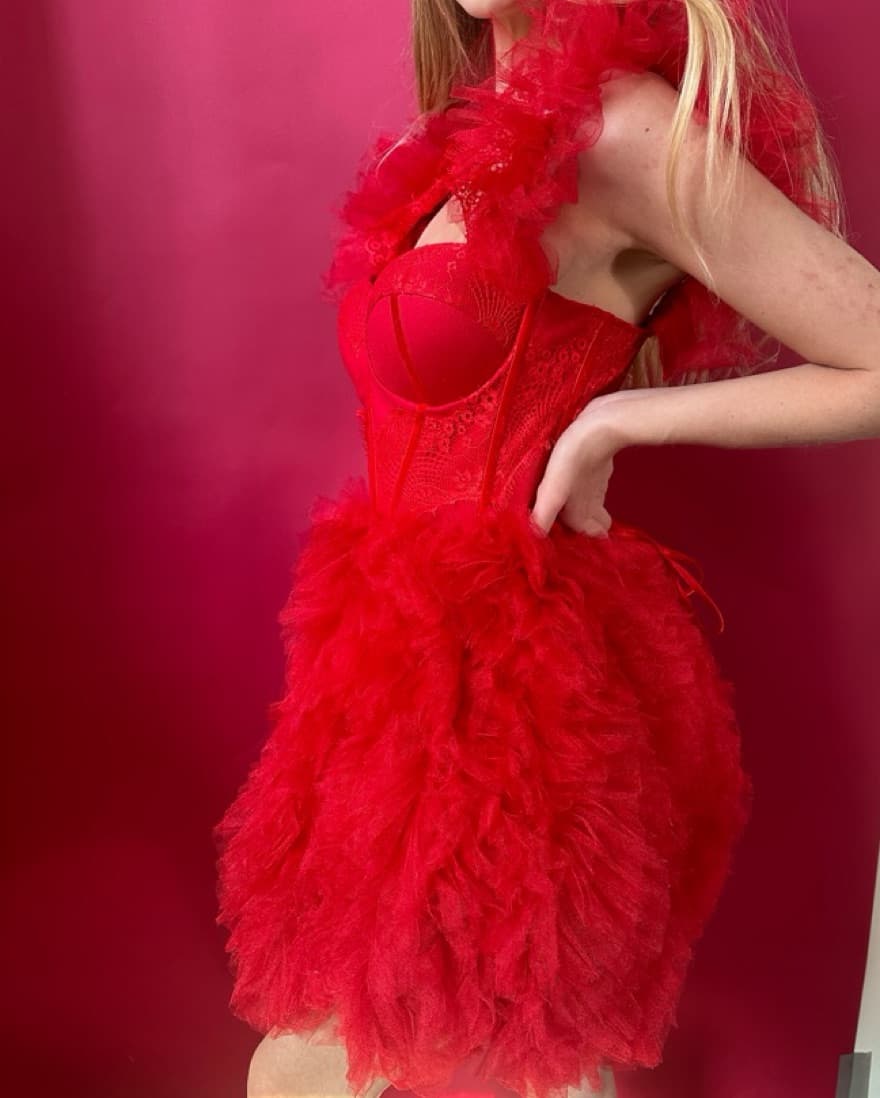 Scarlet Red Corset Tulle Dress - Image 6