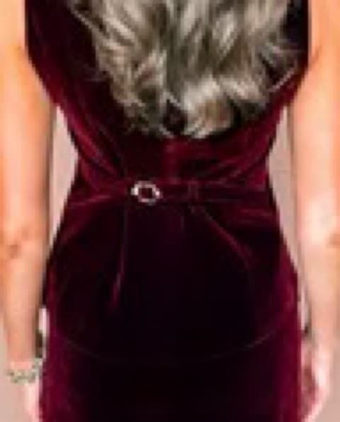 Moon River Plum Velvet Vest Gold Buttons - Image 3