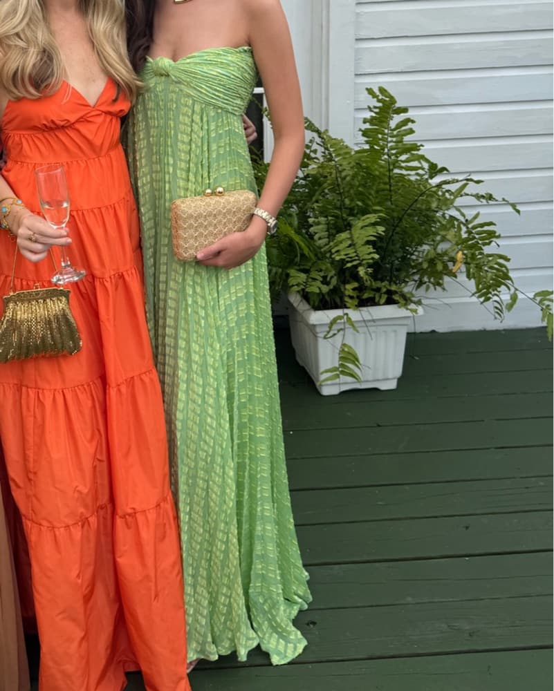 Alexis Elea Dress With Added Straps - Image 4