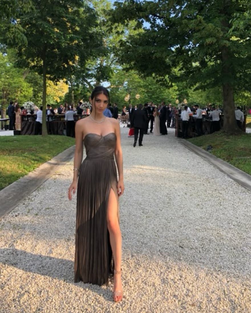 Maria lucia hohan Gown - Image 1