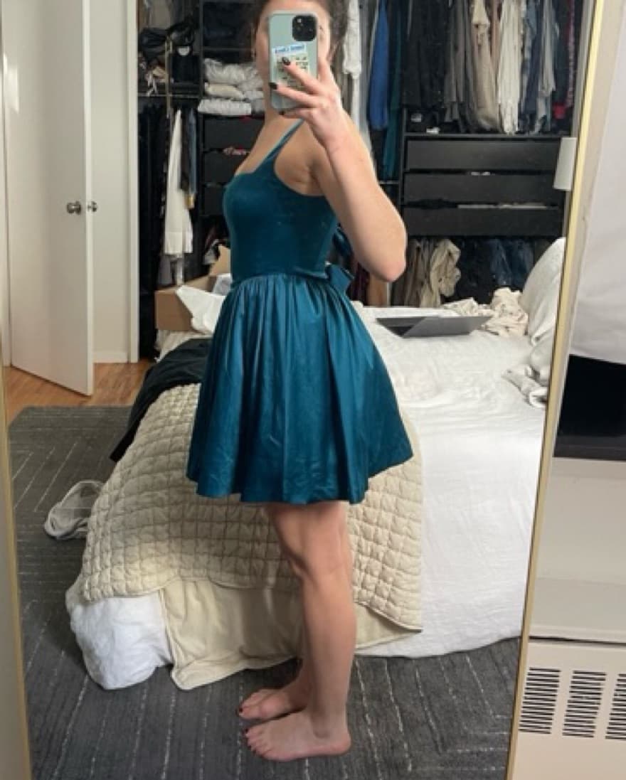 LoveShackFancy Satin Bellarosa Dress - Image 4