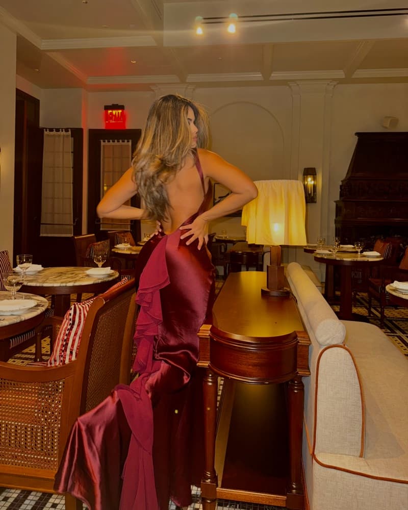 Retrofete Ambrosia Dress in Port - Image 6