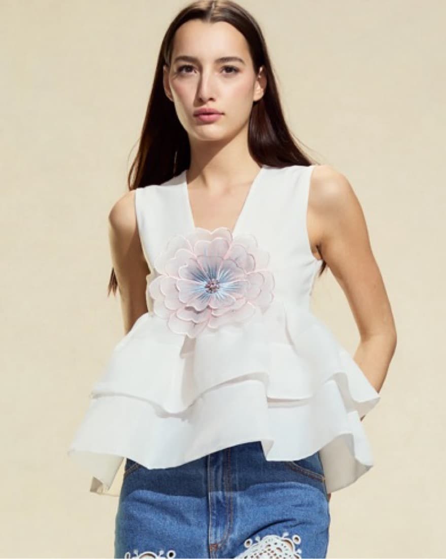 Daphne Organza Top  - Image 1