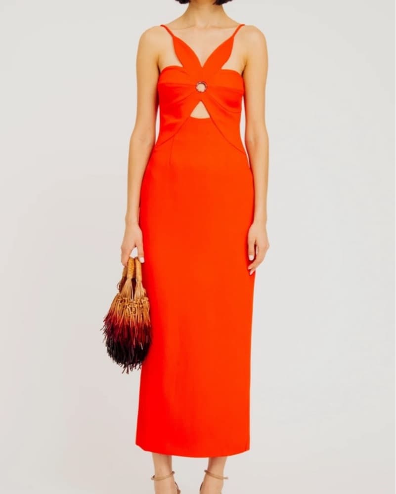 Torn by Ronny Kobo Anna Midi Dress - Image 1