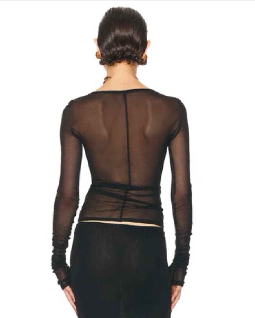 Helsa Sheer Longsleeve Top  - Image 3