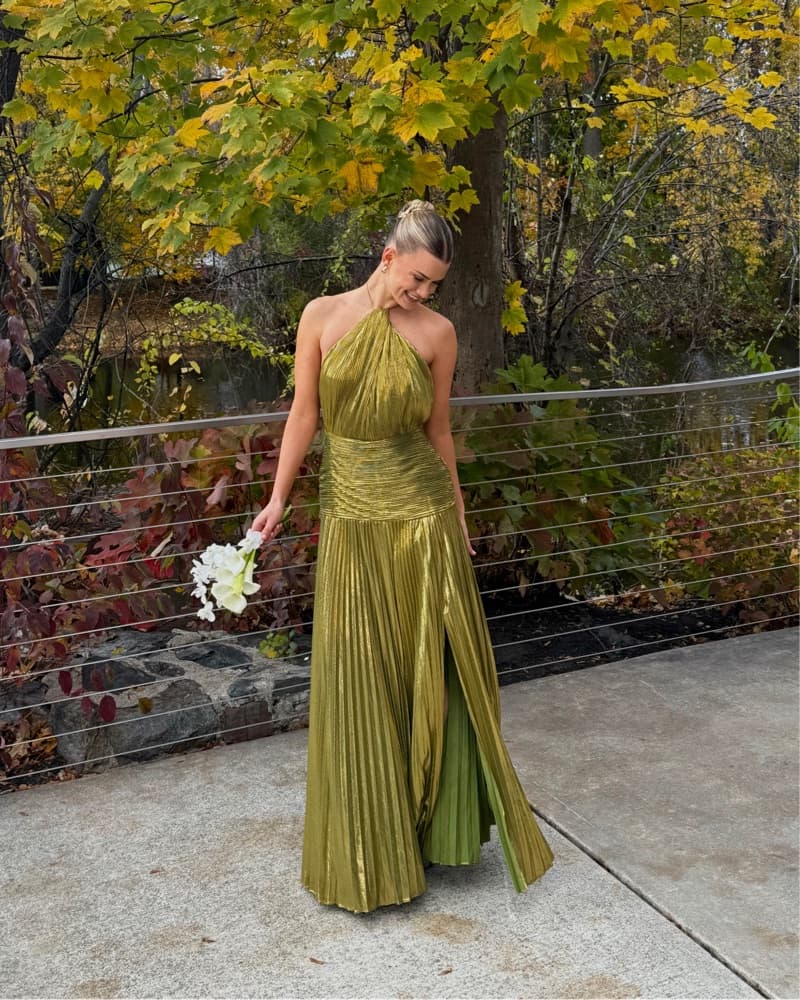 Retrofete Thalia Metallic Dress - Image 4