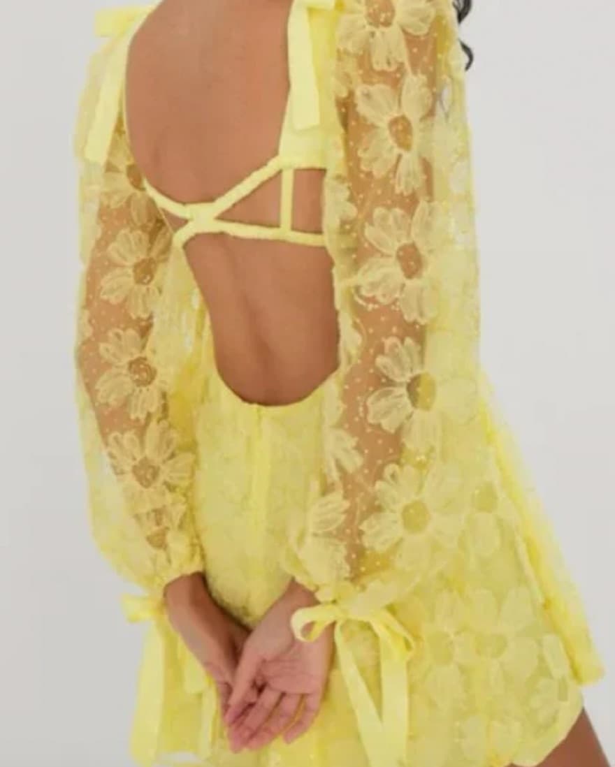 For Love And Lemons Dress - Image 4
