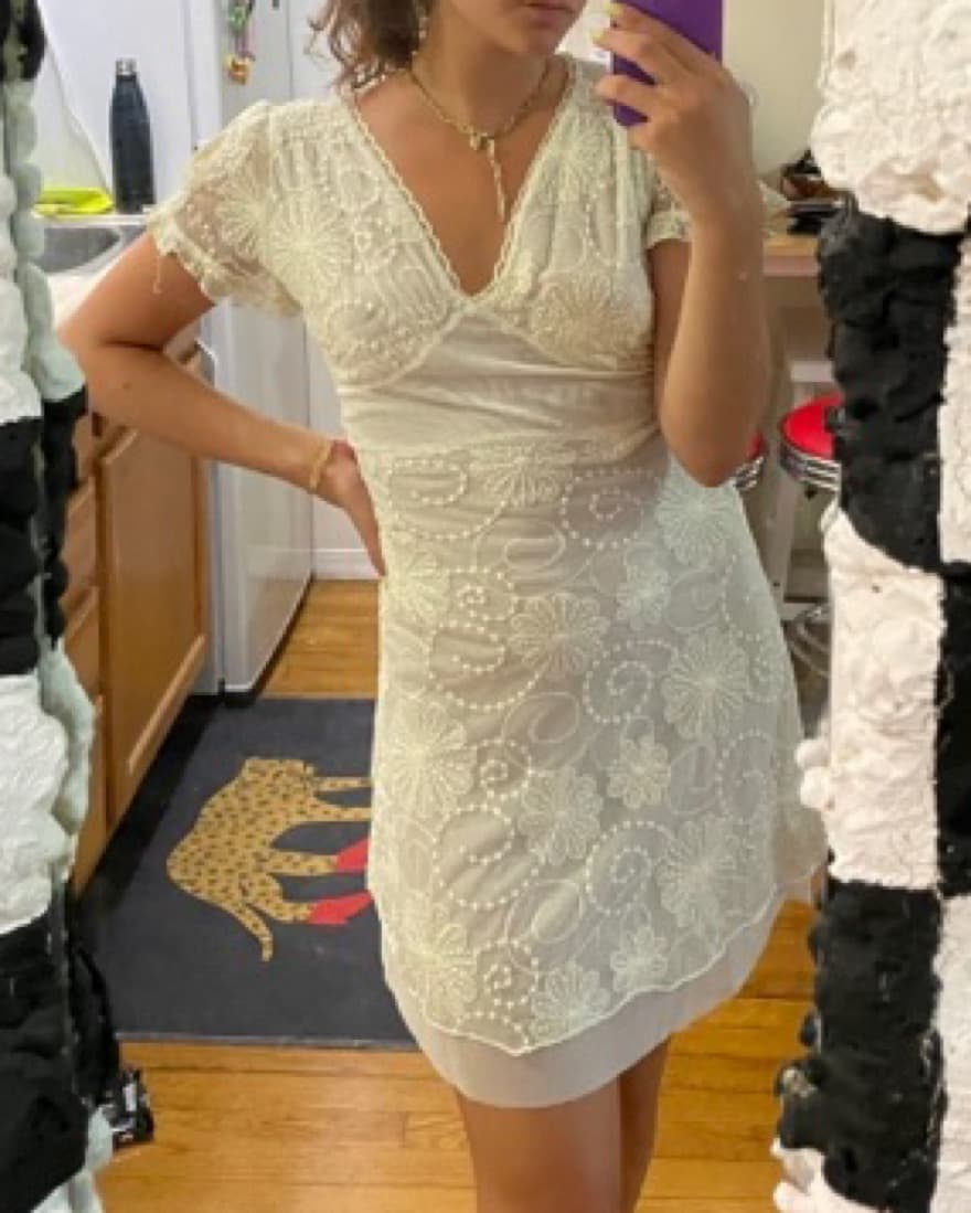 Cream Floral Embroidered Mesh Dress  - Image 1