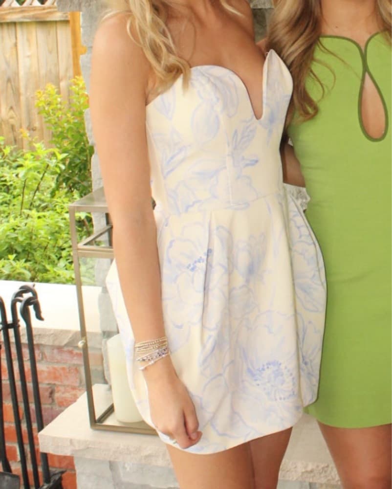 Amanda Uprichard Rosiella Dress - Image 2