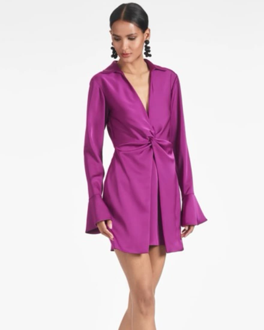 Sachin & Babi Satin Dress - Image 1