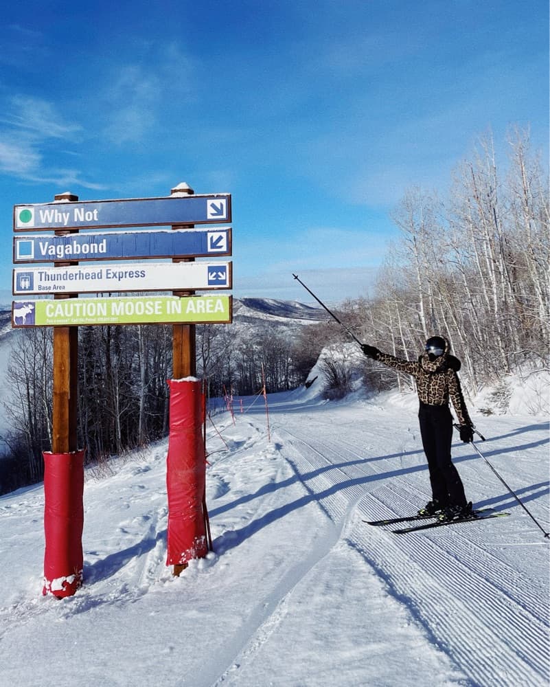 Goldbergh Lynx Ski Suit Jaguar - Image 4