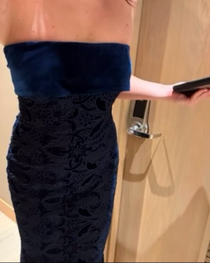 Badgley Mischka Velvet Gown - Image 3