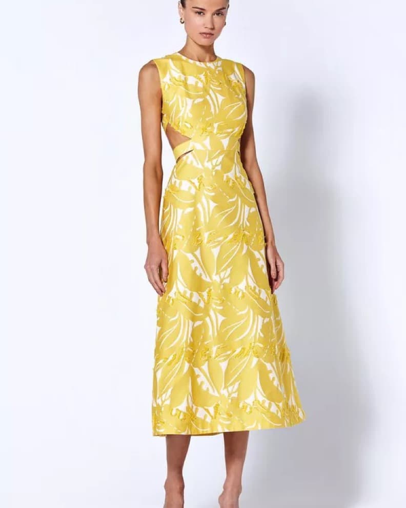 Alexis Sannie Dress - Image 3