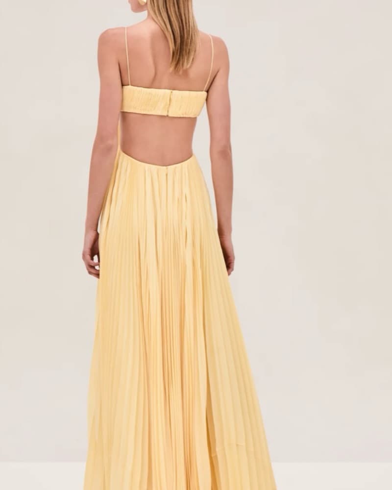Alexis Varranza Dress - Image 3