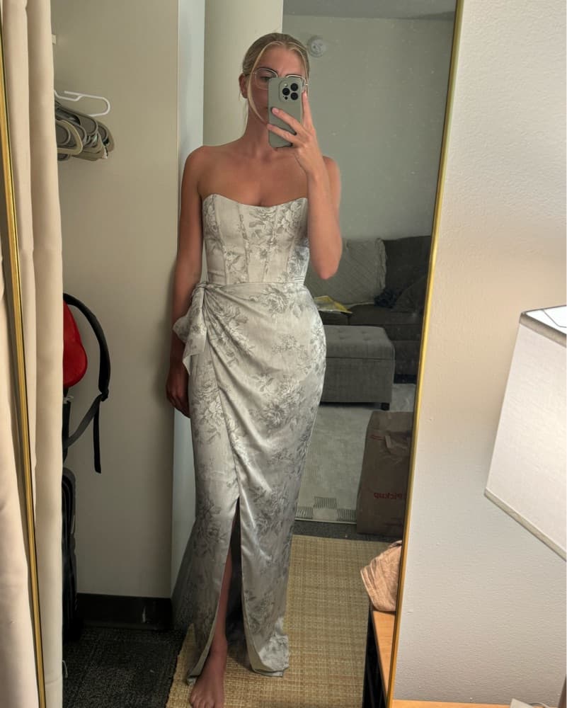 V. Chapman June Printed Corset Gown  - Image 4