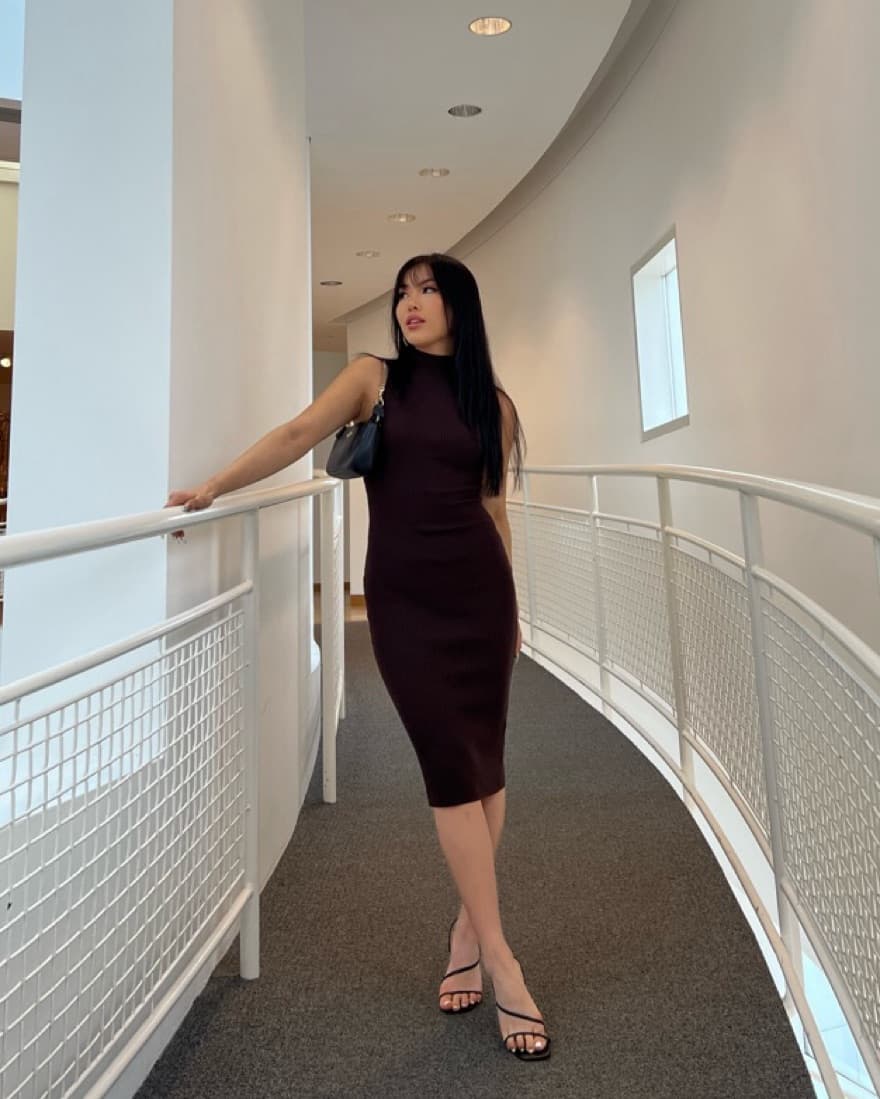 Aritzia Brown Midi Dress - Image 1