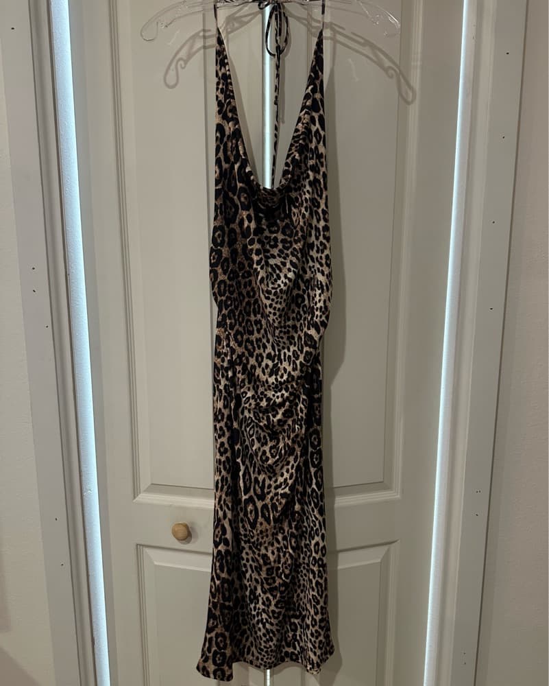 Zara cheetah/leopard maxi - Image 3