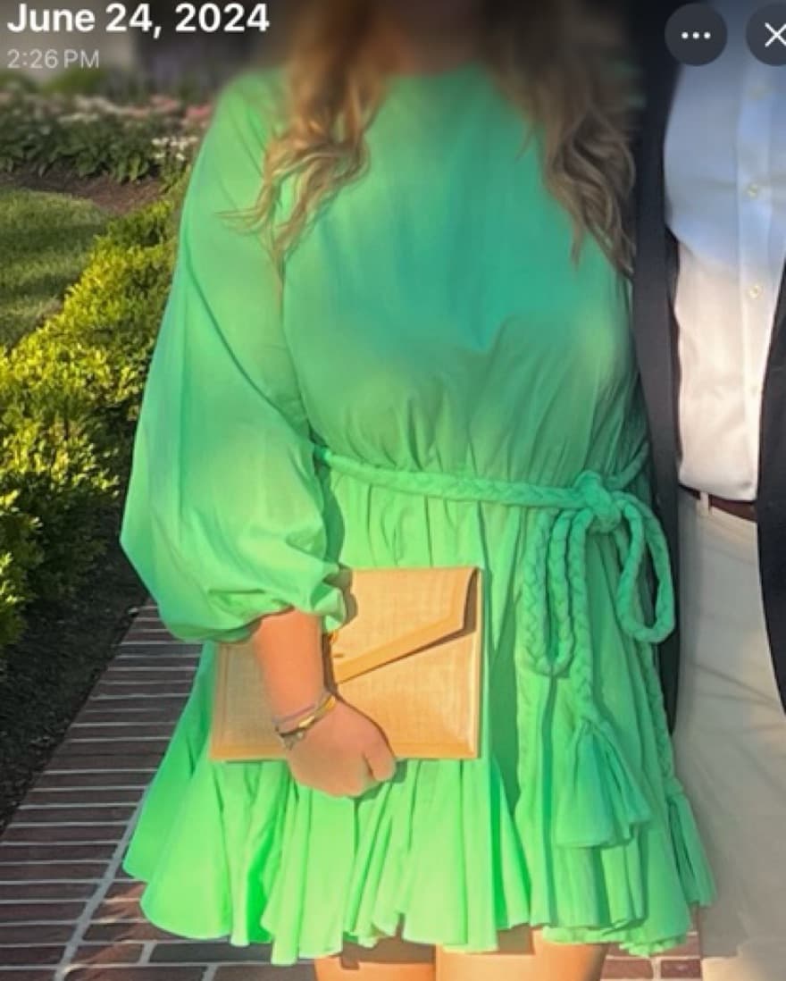 Rhode green Dress  - Image 1