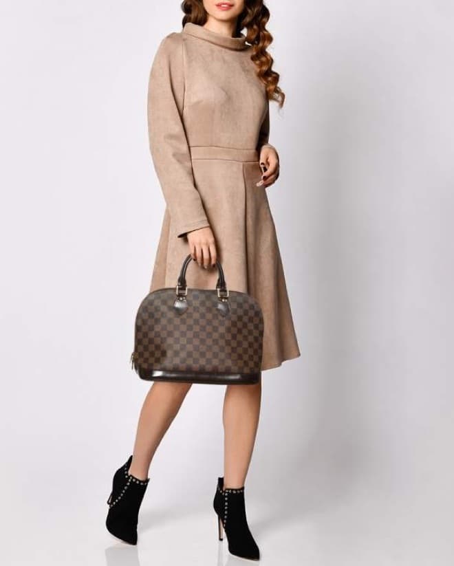 Louis Vuitton Brown Damier Ebene Alma PM - Image 4