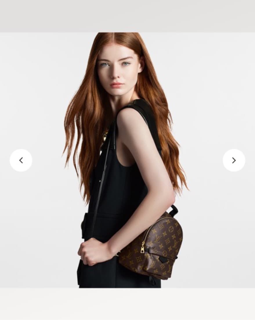 Louis Vuitton Palm Springs Mini Bag - Image 2