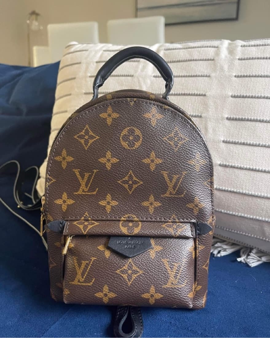 Louis Vuitton Palm Springs Mini Bag - Image 5