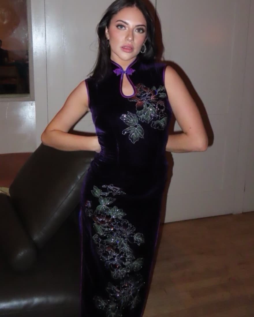 Vintage High Neck Velvet Dress - Image 4