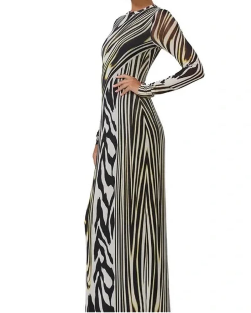 Long Sleeve Zebra Mesh Dress - Image 3