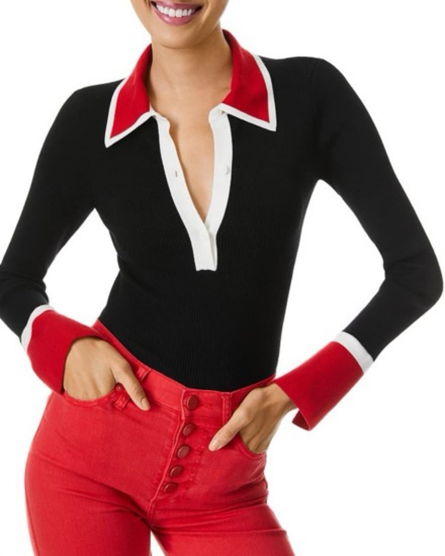 Alice + Olivia  Colorblock Sweater  - Image 1