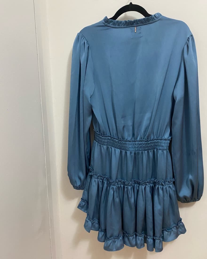 Blue Misa Ruffle Mini Dress - Image 4