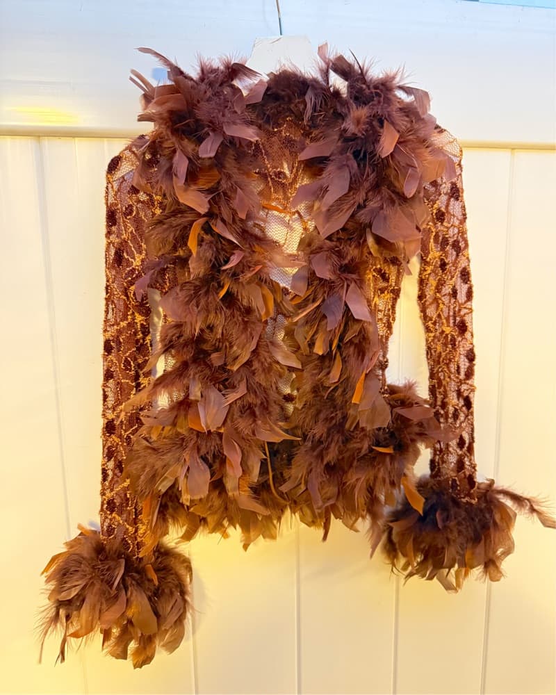 Vintage Lace Feather Top  - Image 4