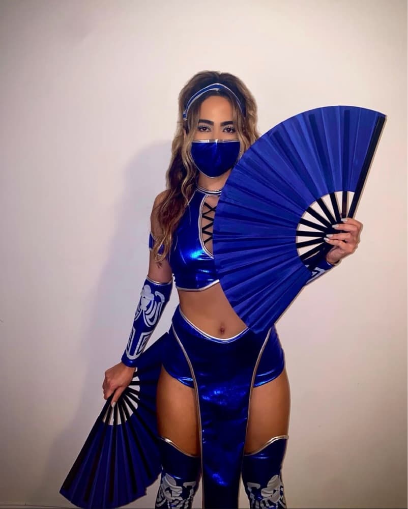Mortal Kombat Kitana Halloween Costume  - Image 1