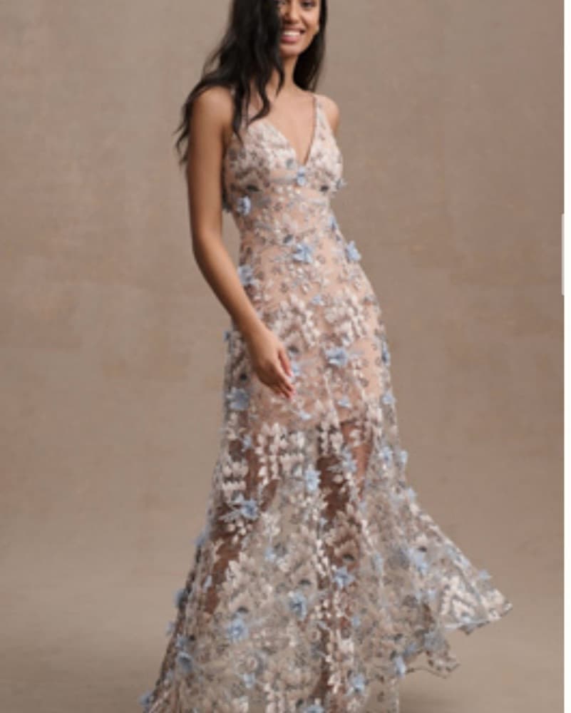 Nude/Blue Applique Gown - Image 5