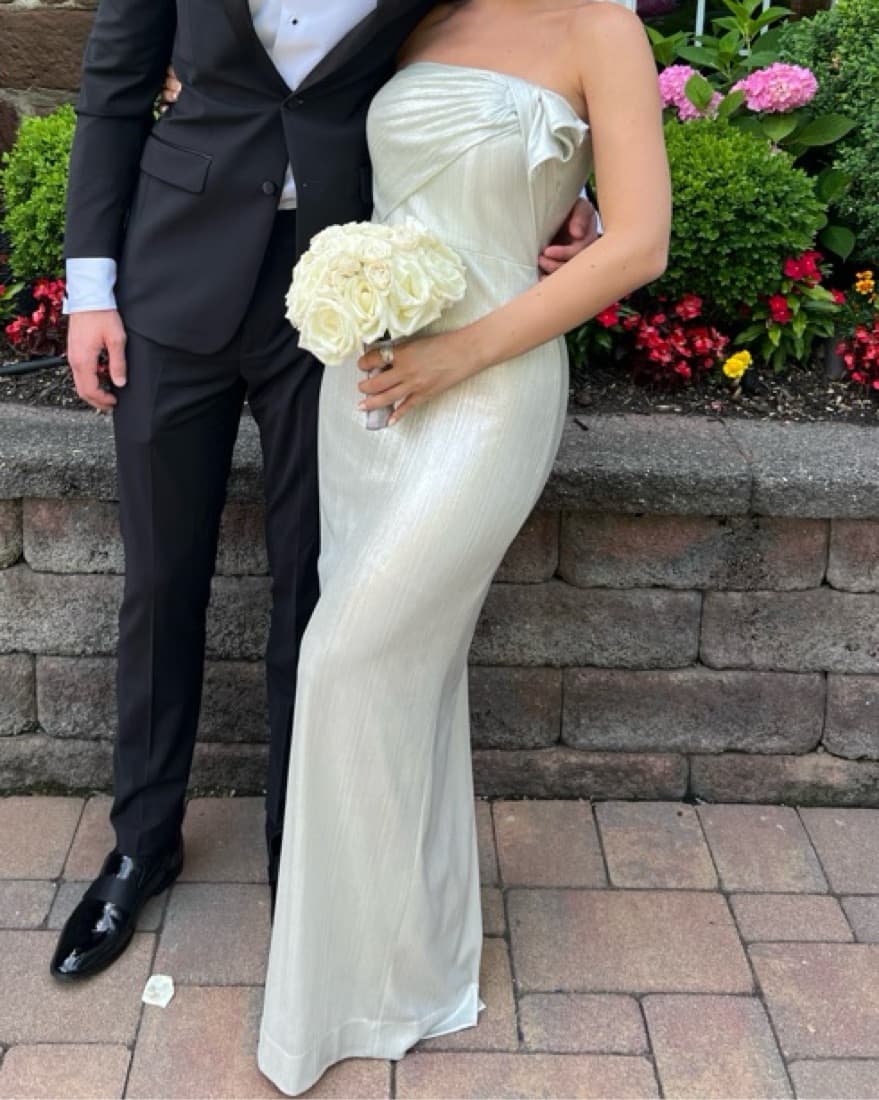 Silver Gown - Image 2
