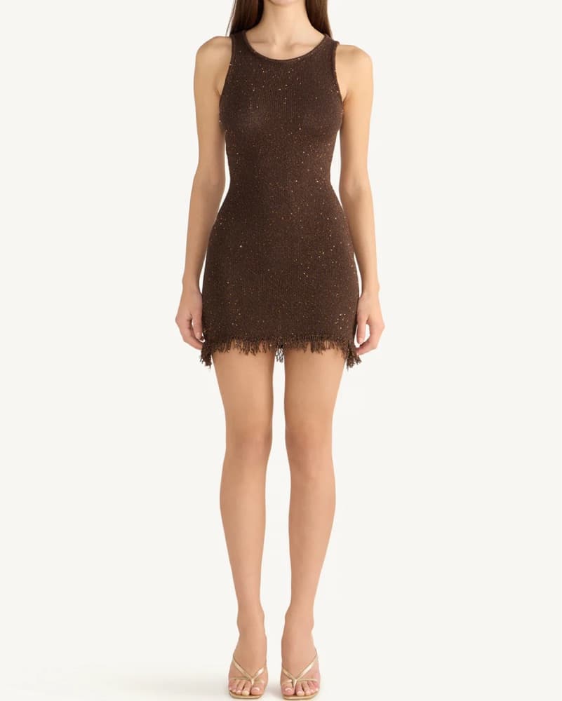 Brown Shimmering Fringe Mini Dress - Image 2