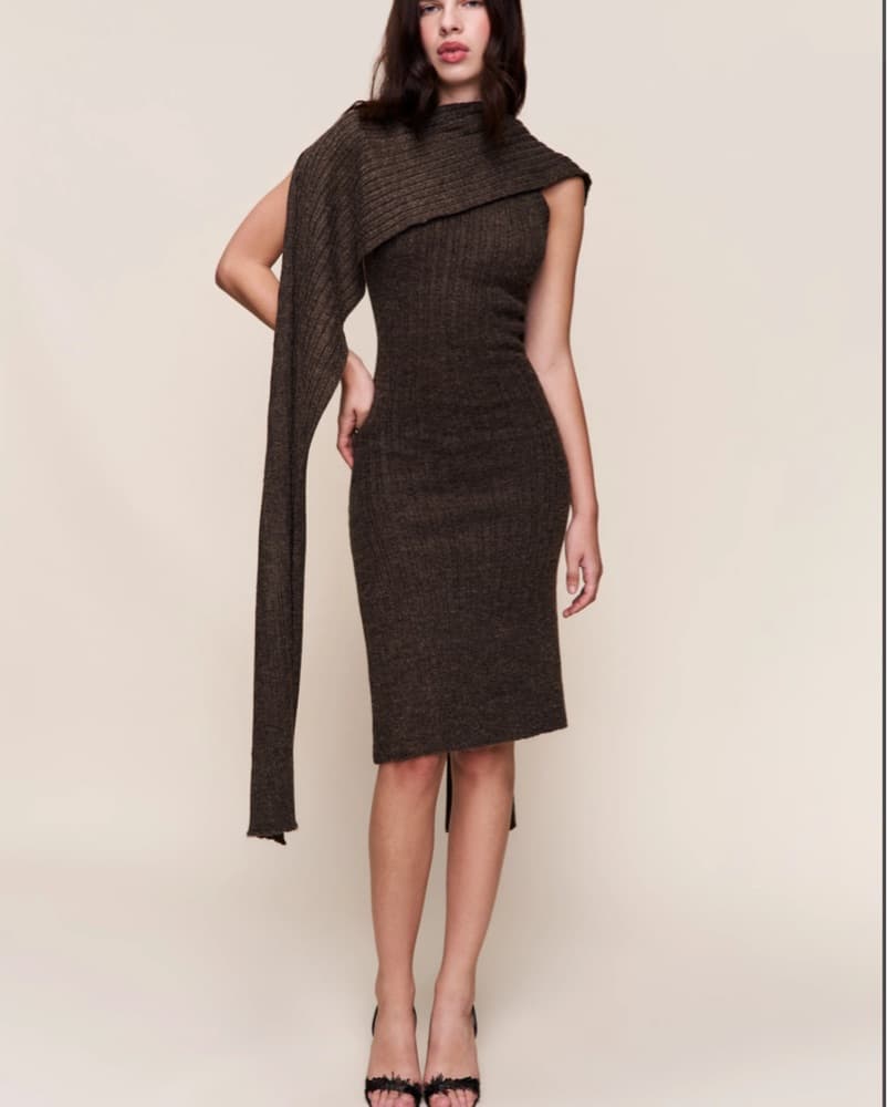 GUIZIO Knit Hooded Dress - Image 4