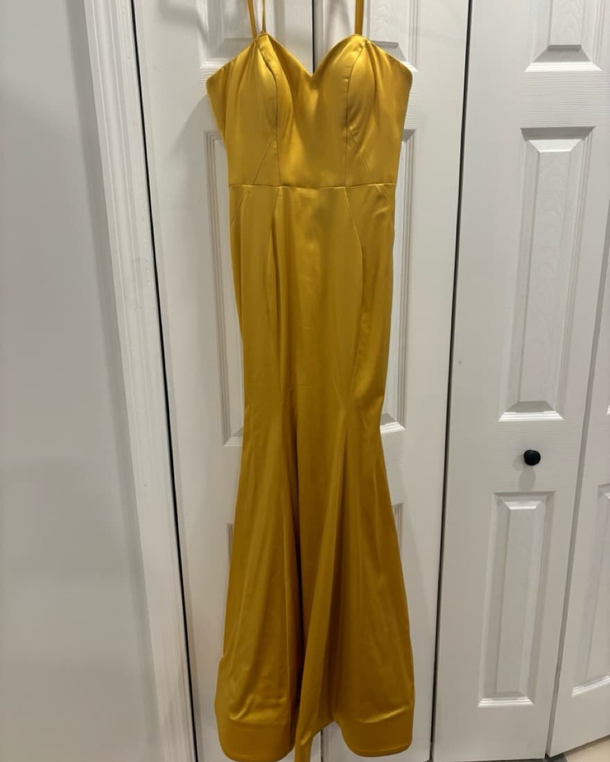 Bariano Gold Gown Size US 4 - Image 1
