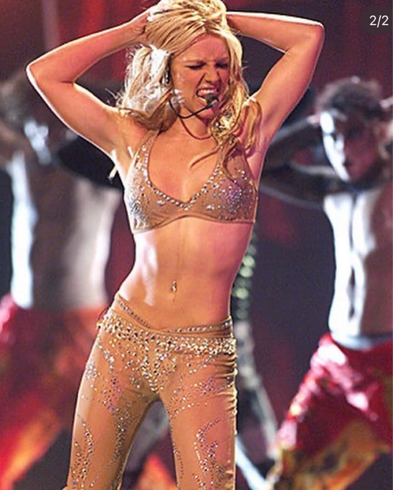 Brittney Spears Costume - Image 3
