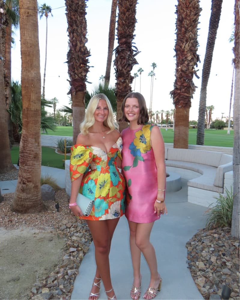 Pink Alemais Dress - Image 2