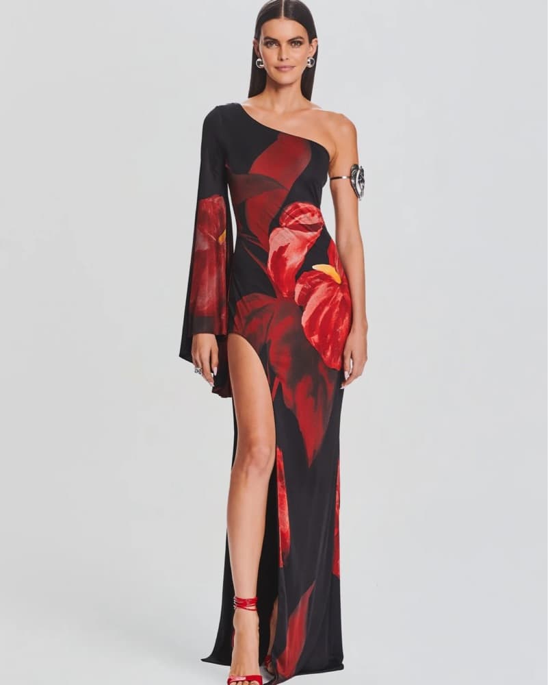 Retrofete Dress - Image 1