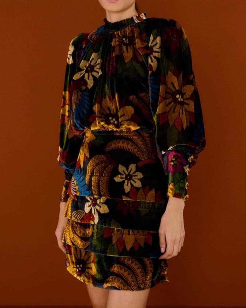 Farm Rio Macaw Ballet Velvet Dress  - Image 1