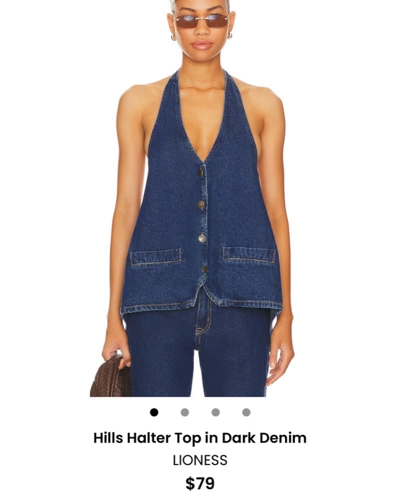 Lioness Hills Halter Top - Image 3