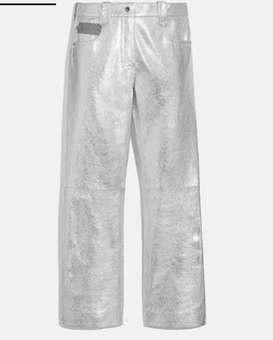 COACH Metallic Pants  - Image 1