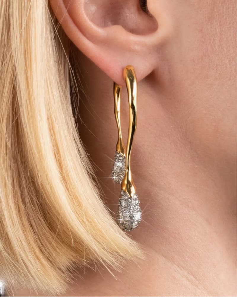 Alexis Bittar Solanales Crystal Earrings - Image 2
