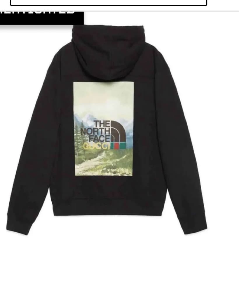 North Face Gucci Hoodie - Image 3
