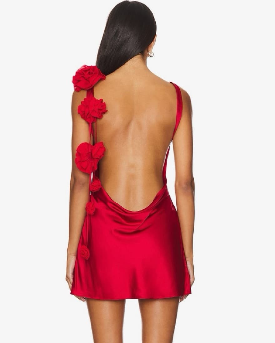 Red Rose Backless Mini Dress - Image 3