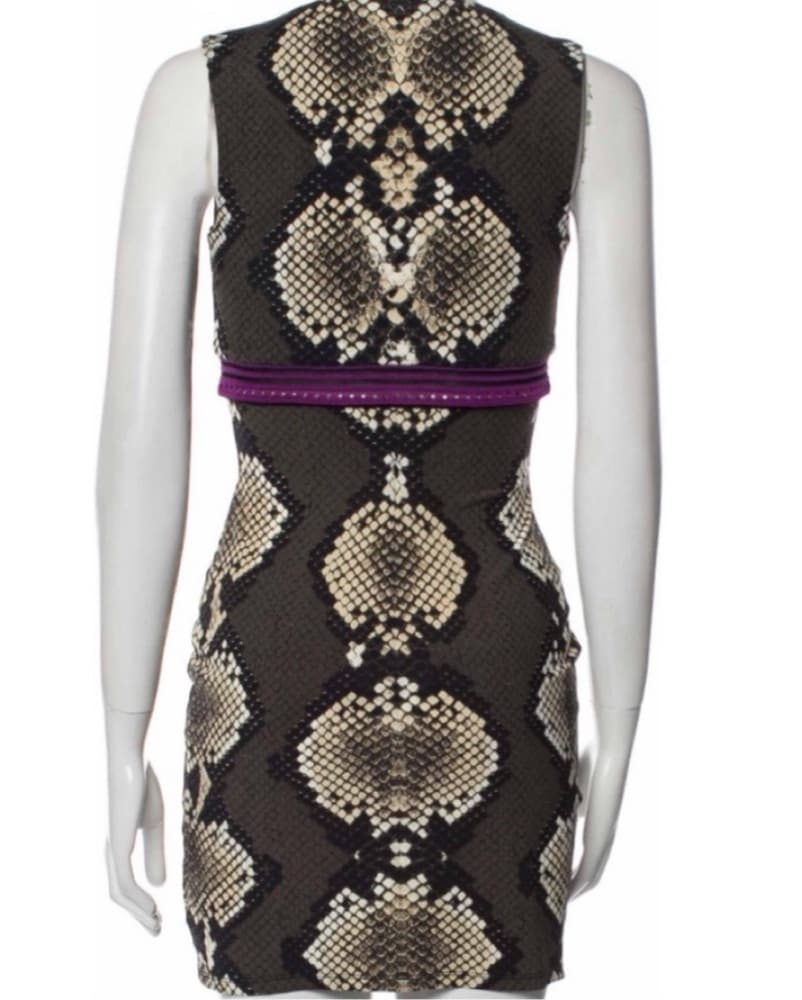 Roberto Cavalli Snakeskin Dress  - Image 3