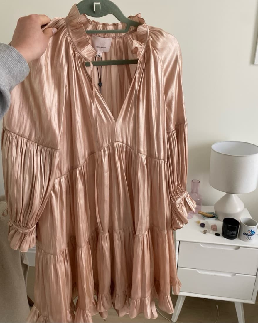 Blush Satin Cinq A Sept Dress - Image 4