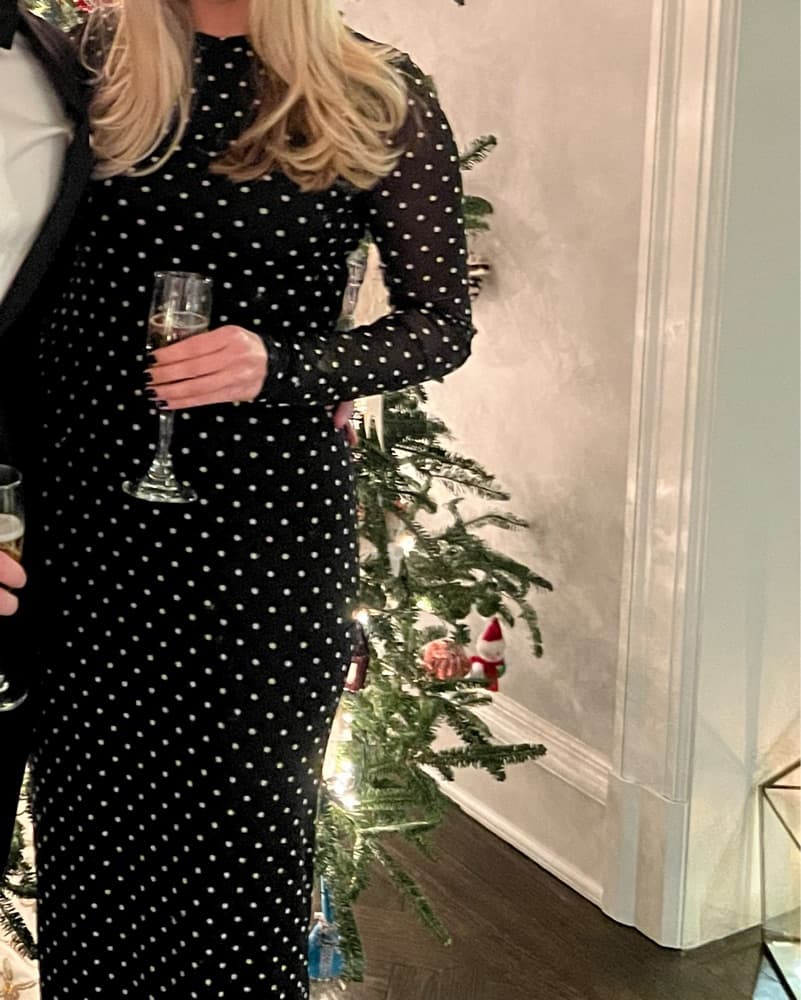 AFRM Didi Long Sleeve Polka Dot Dress - Image 2